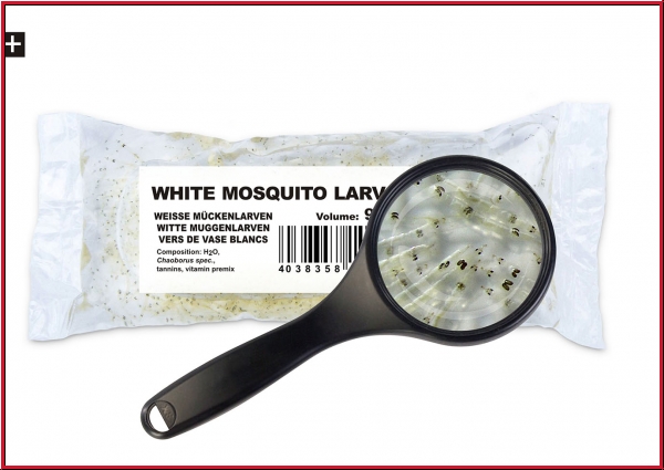 Weiße Mückenlarven 90 ml
