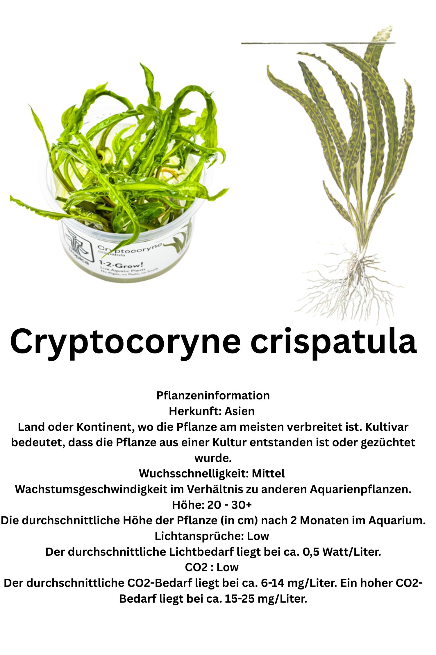 2FA06CCD-D1FA-41DE-8CB7-8B990AFF6A99.jpg