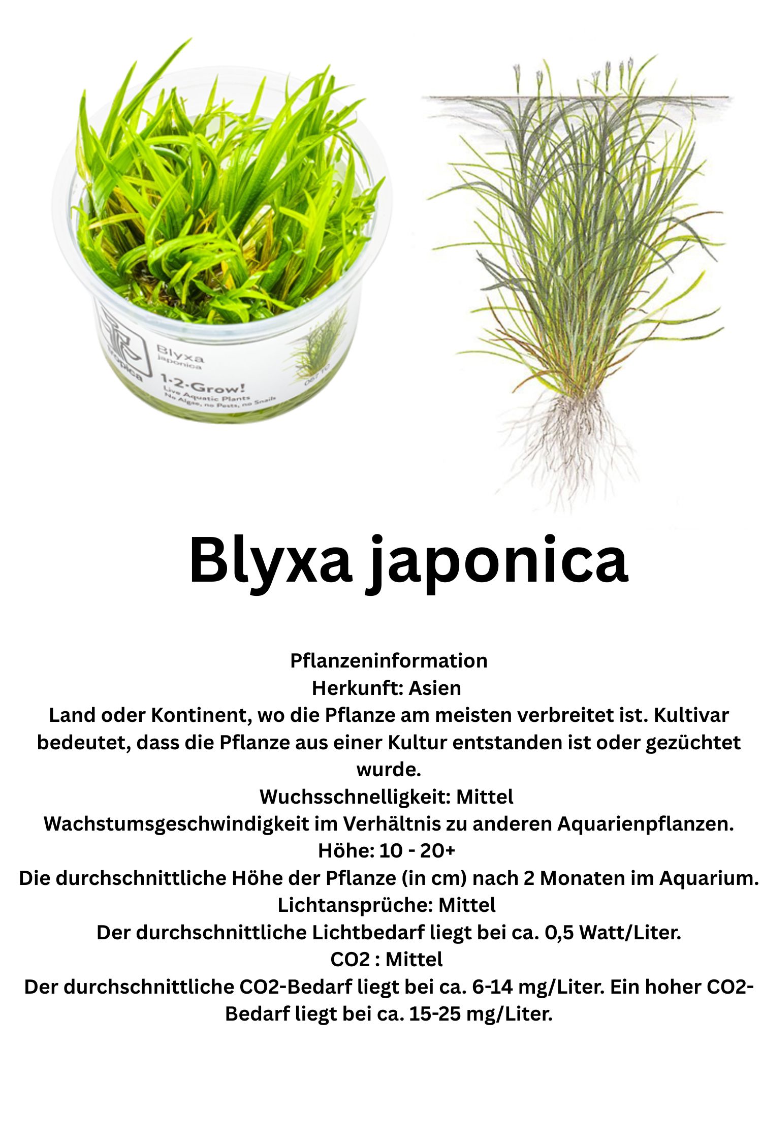 94CE316B-0135-4591-BFDF-A0A4780075E1.jpg